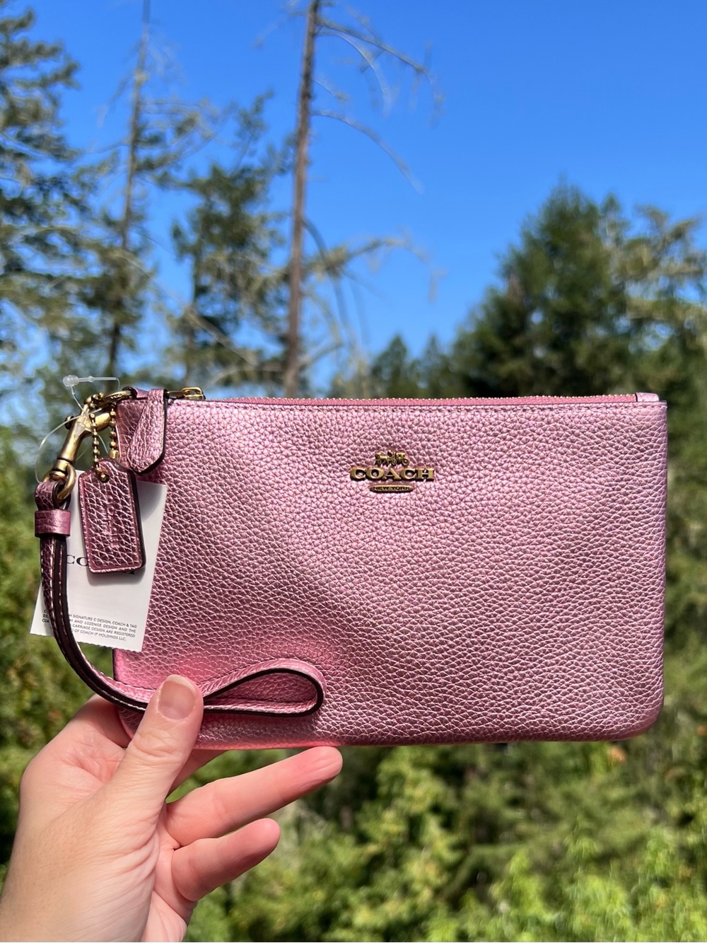 COACH Women’s Small Leather Pink Metallic Wristlet Wallet w Gold Hardware C7215